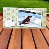 Windermere Fun Dog Lover Greeting Card